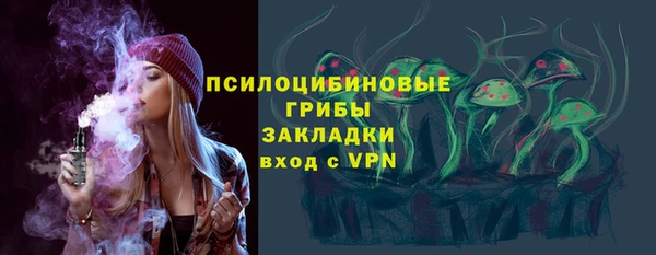прущие крисы Новозыбков