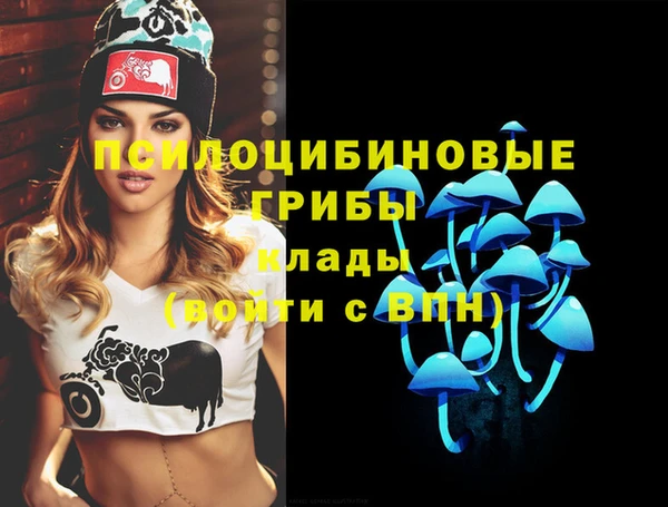 хмурый Новодвинск
