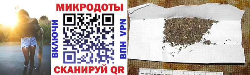 omg как зайти  Томари  Галлюциногенные грибы прущие грибы 